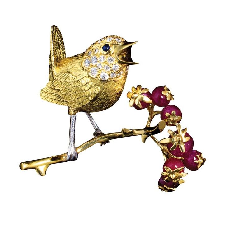 Gold and Ruby Wren Pin on Branch Wren at left is 18k yellow gold with white gold legs, .51 cts diamonds and ruby berries. 1 7/8"w x 1 1/2"h. Insects Jewelry, Animals Jewelry, Black Gold Jewelry, Pins And Brooches, Gold Legs, Color Stones, Bird Brooch, Bird Jewelry, Brooch Jewelry