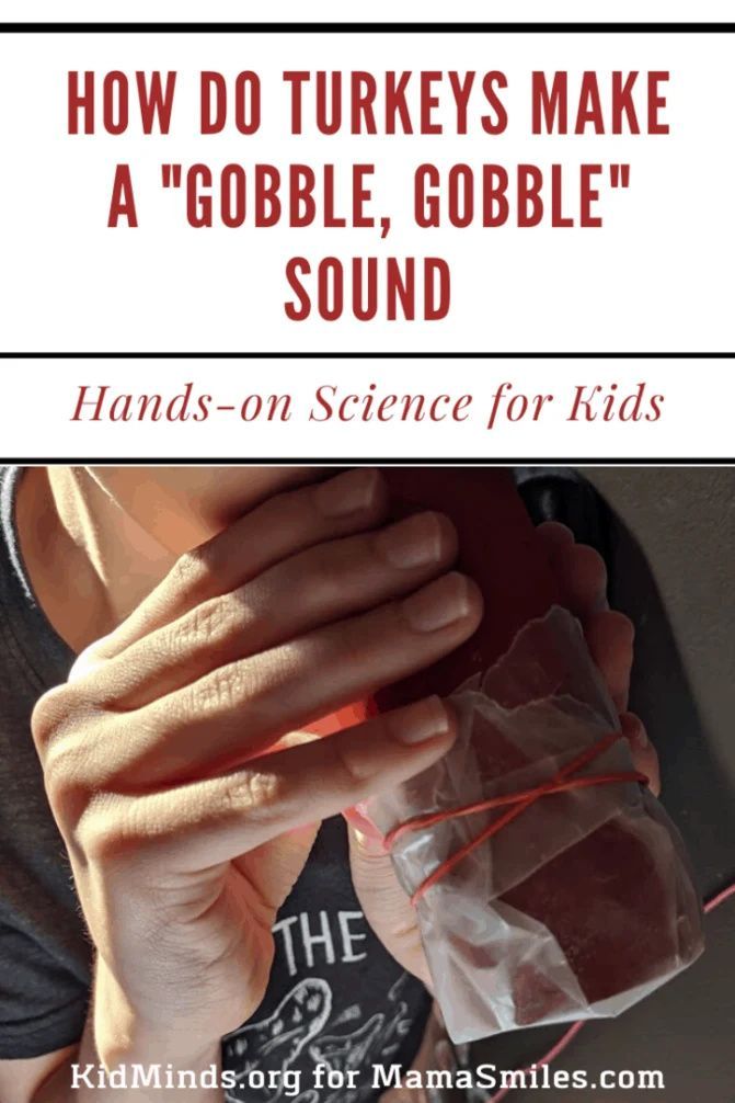 the cover of how do turkeys make a gobble, gobble sound? hands - on science for kids