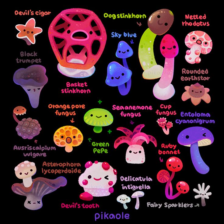 a poster with different types of mushrooms and other things to see in the picture on it