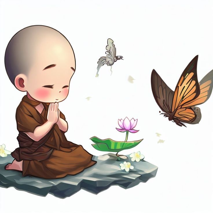 a little monk sitting in front of a butterfly