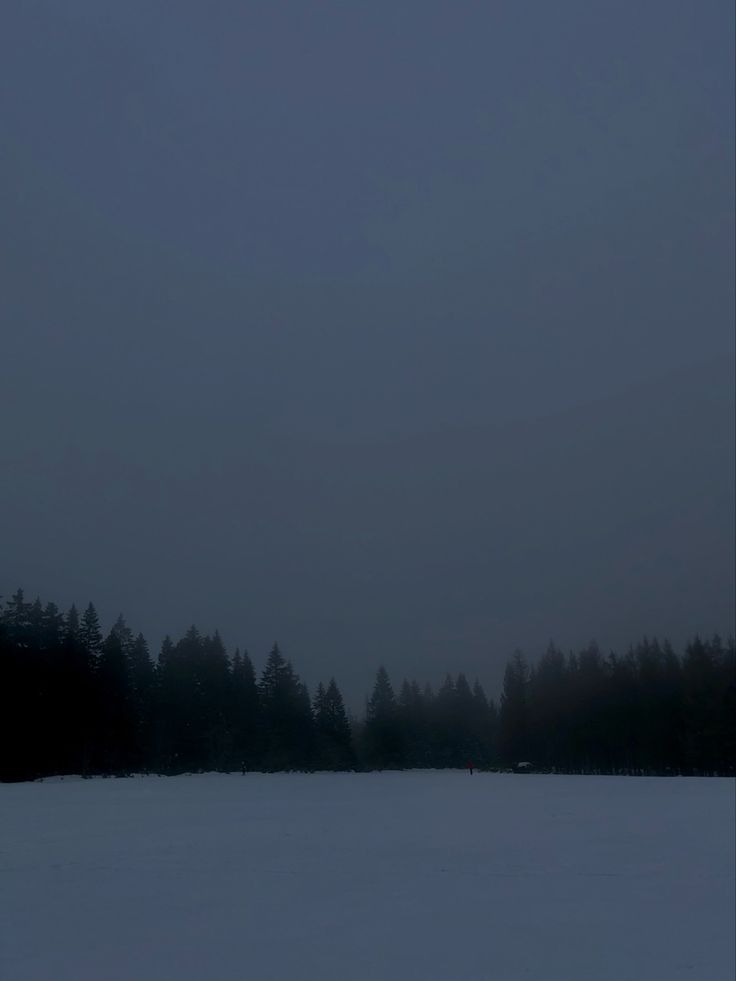 the sky is dark and overcast with trees in the background