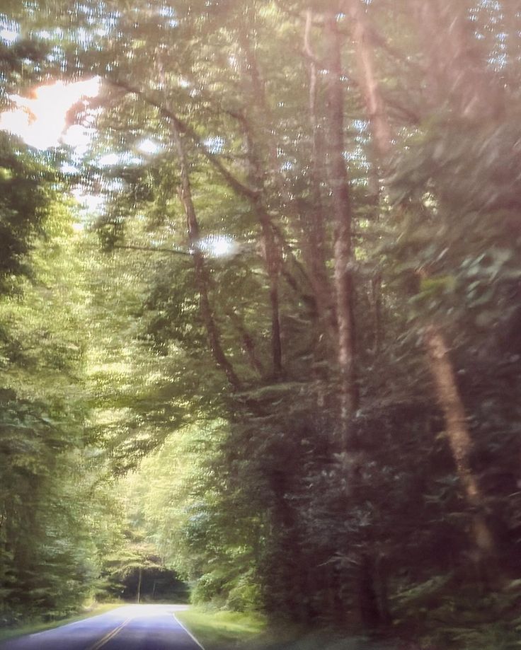 a car driving down a road surrounded by trees