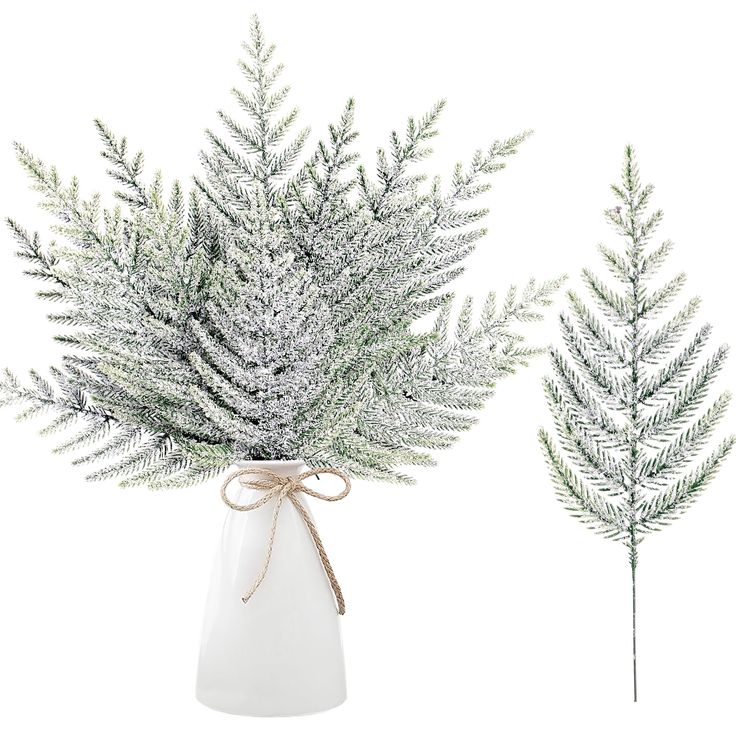 two white vases with green branches in them on a white background, one is tied up and the other has a brown ribbon