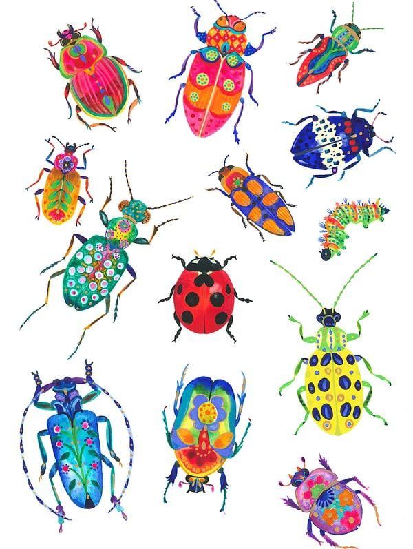 six different colored bugs are shown in this drawing, with one beetle on the left side and