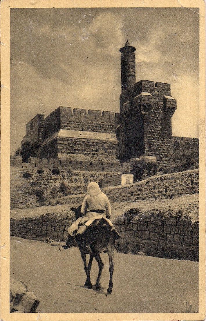 a man riding on the back of a donkey