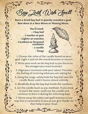 Wish Spell, Manifestation Spells, Moon Spells, Green Witchcraft, Wiccan Magic, New Moon Rituals, Magic Spell Book, Witch Spirituality, Grimoire Book