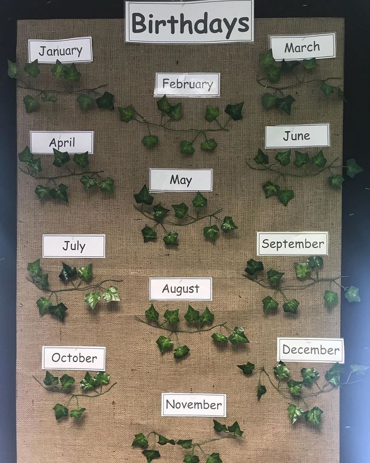 a bulletin board with plants and months on it