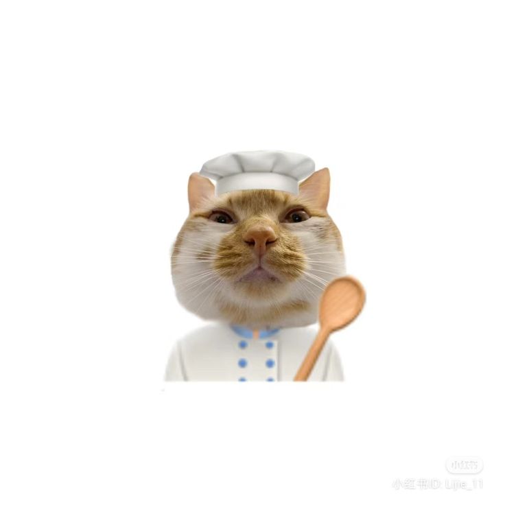 a cat wearing a chef's hat and holding a spoon in front of its face