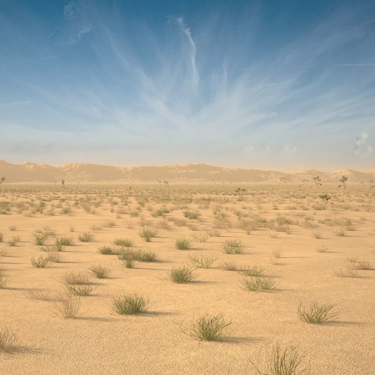 an empty desert with sparse grass and blue sky