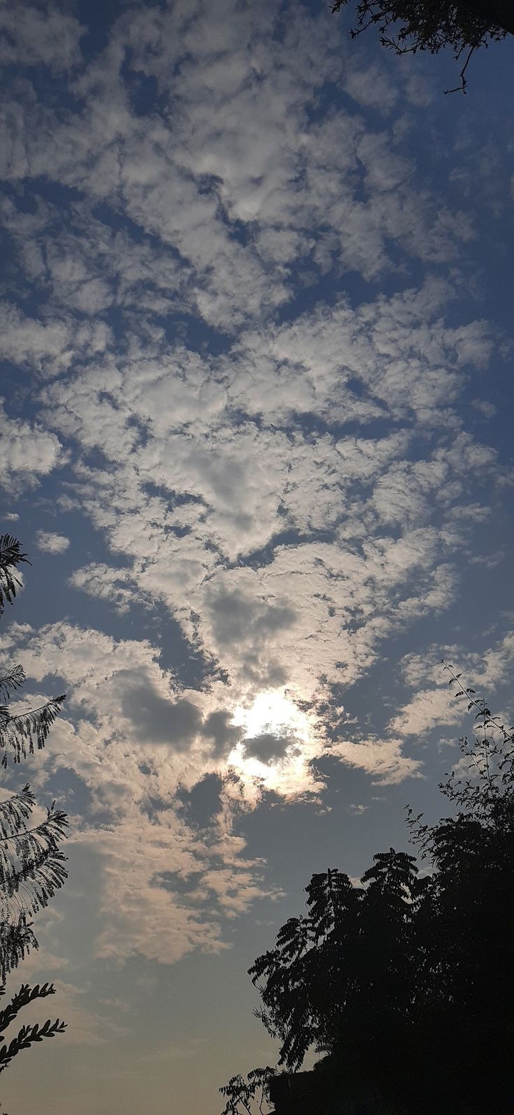 the sun is shining through the clouds in the sky above some trees and bushes at dusk