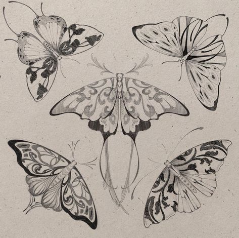 four butterflies are shown in black and white on a piece of paper, with one butterfly facing the camera