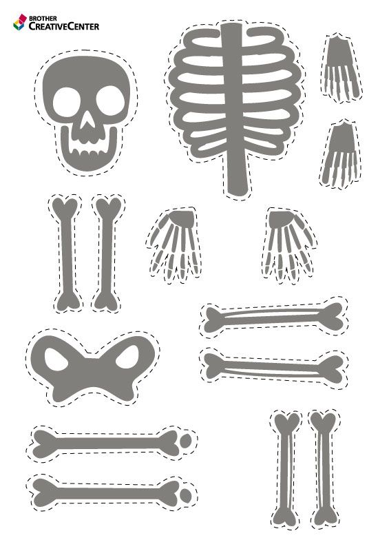 a cut out of a skeleton and bones