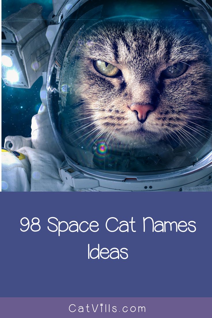 a cat in an astronaut's space suit with the caption 98 space cat names ideas