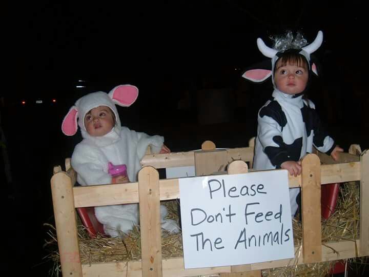 two children dressed up as animals sitting on top of hay in their wooden wagon with a sign that says please don't feed the animals