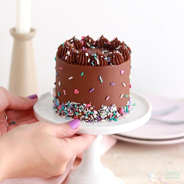 a chocolate cake with sprinkles is being held by a woman's hand