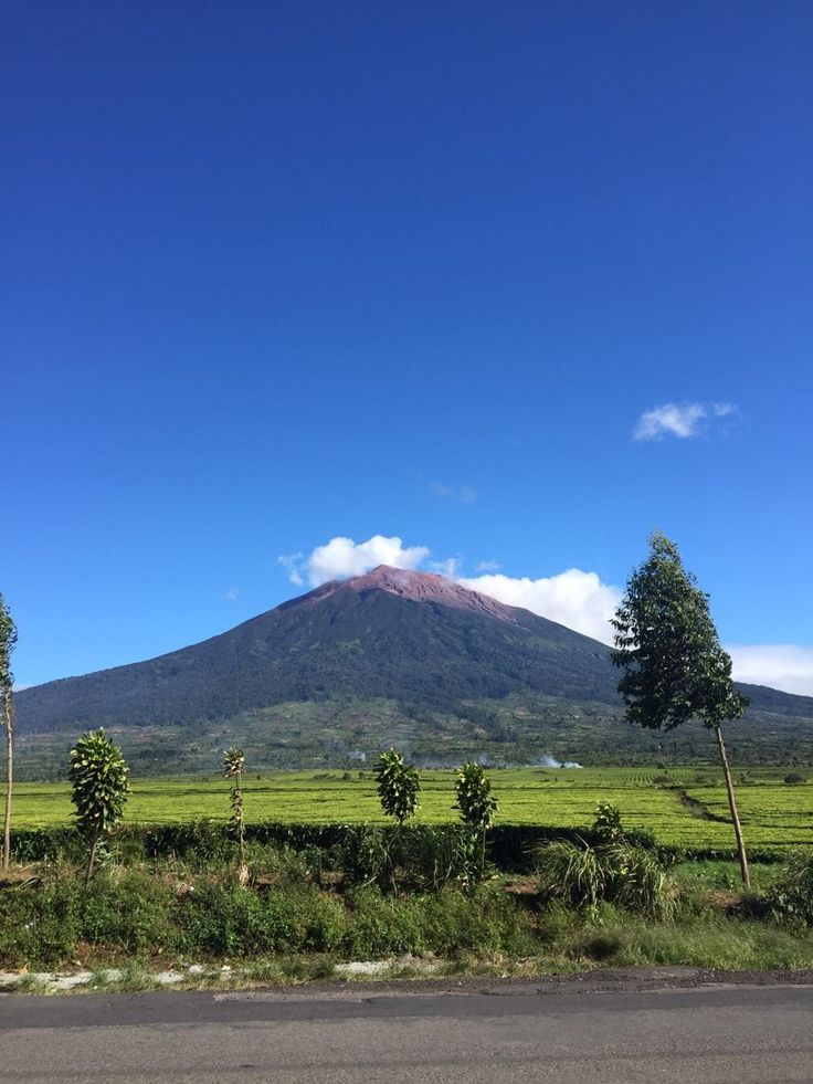 a large mountain towering over a lush green field