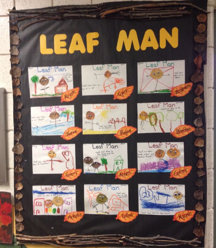 a bulletin board with writing on it that says leaf man and features images of leaves