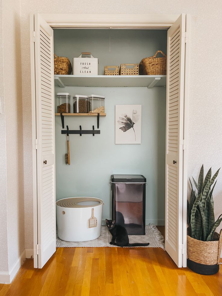 a cat sitting in the corner of a room next to an open door with shelves above it