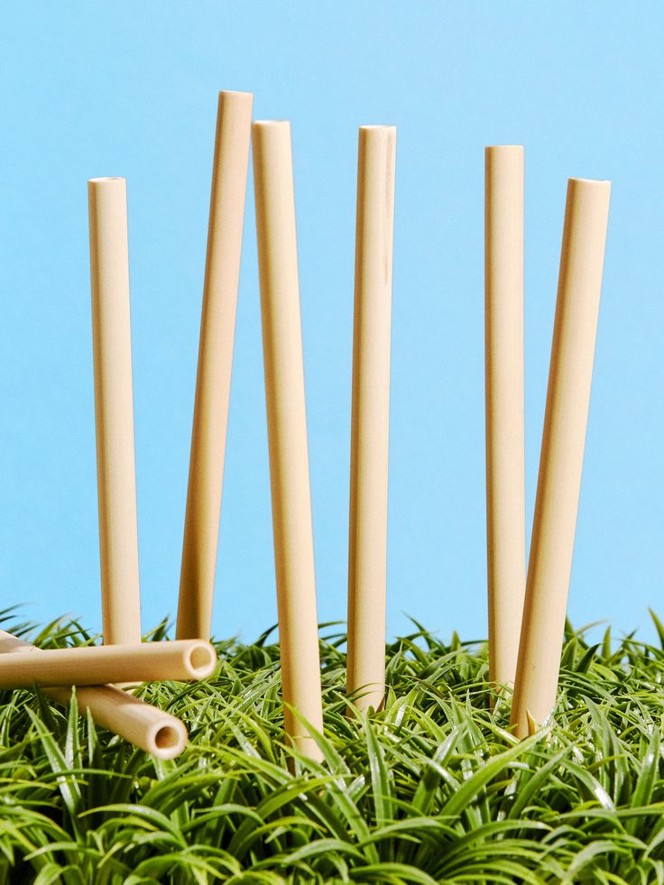 four wooden sticks sticking out of the grass next to each other on a blue background