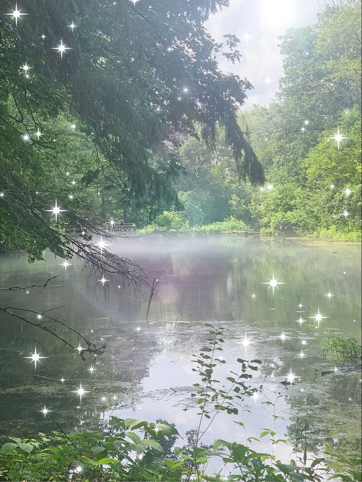 a lake surrounded by trees and stars in the sky