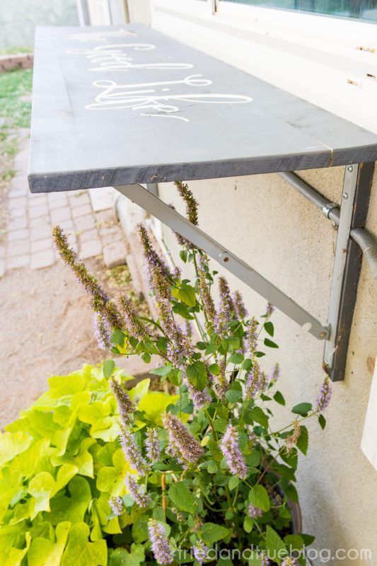 a potted plant sitting on top of a metal shelf next to a window sill