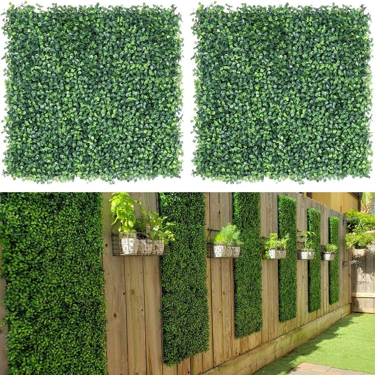 three pictures of plants growing on the side of a fence