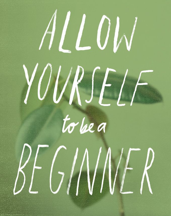 a plant with the words allow yourself to be a beginner