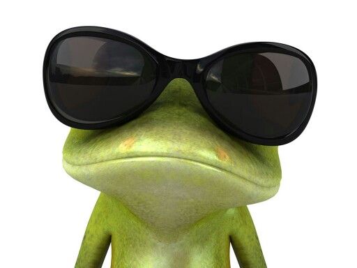 a frog with sunglasses on its head and wearing black glasses over it's eyes