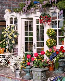 there are many potted plants in front of the window and on the table outside