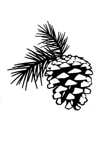 a black and white drawing of a pine cone