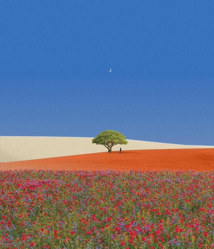 a lone tree in the middle of a flowery field