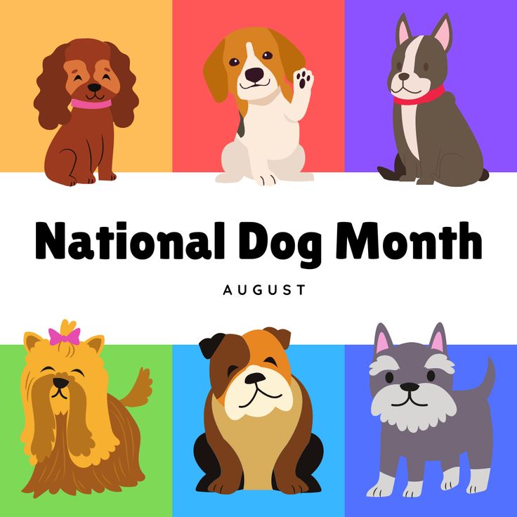 the national dog month poster with dogs and their names in different colors, including brown, white