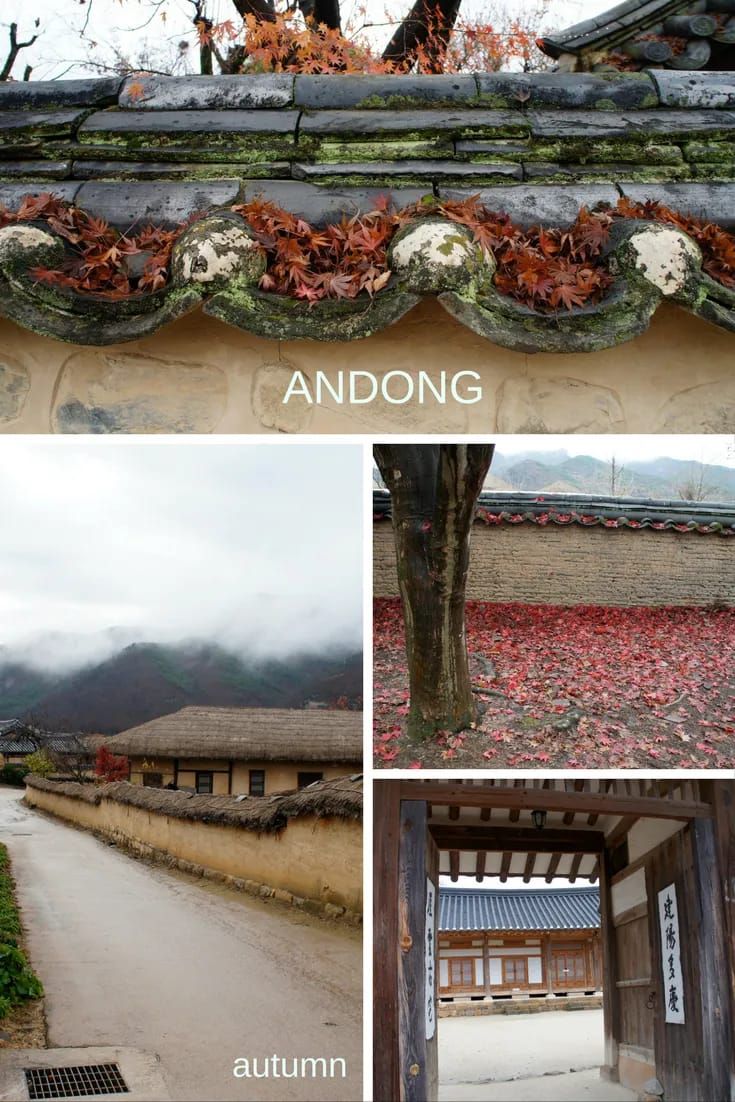 Andong is the most 'Korean' place in Korea. #hanok #andong #korea Hanok House, Korea Autumn, Traditional Korean House, Autumn In Korea, Travel Autumn, Korean Holidays, Travel Phrases, Andong, Vegetable Farming