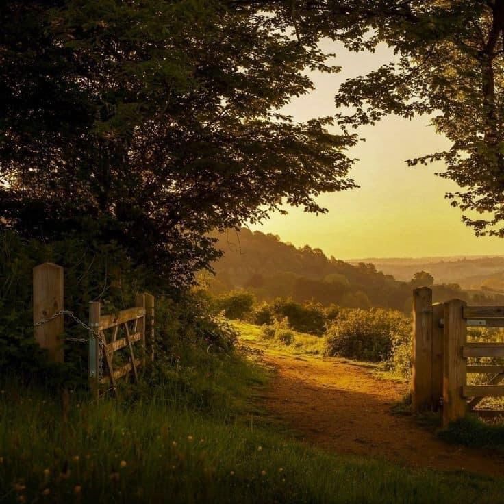 the sun is setting behind some trees and a gate on a dirt path that leads to a grassy field