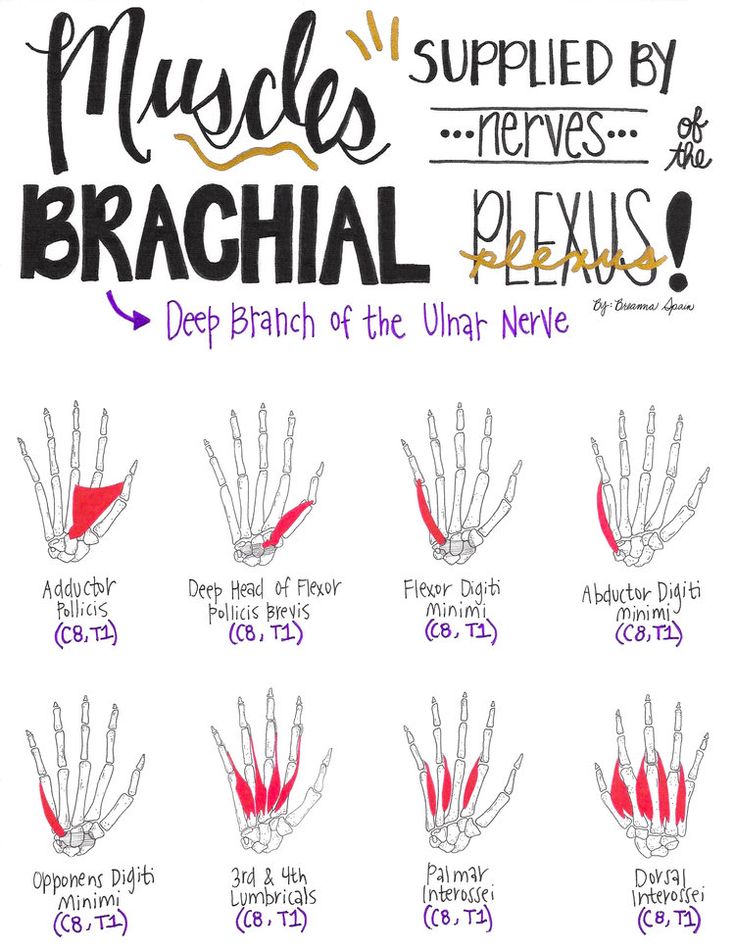 the instructions for how to draw hands