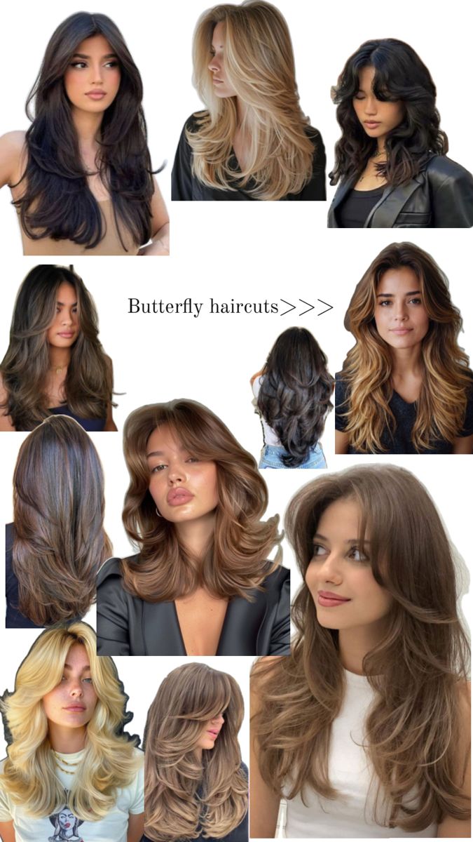 Butterfly cuts for all colors 🦋 Butterfly Haircut With Brown Highlights, Brunette Butterfly Cut, Butterfly Haircut Brown Hair, Hair Setting Styles, Butterfly Cut Long Hair, Butterfly Layers, Butterfly Aesthetic, Butterfly Haircut, Butterfly Cut