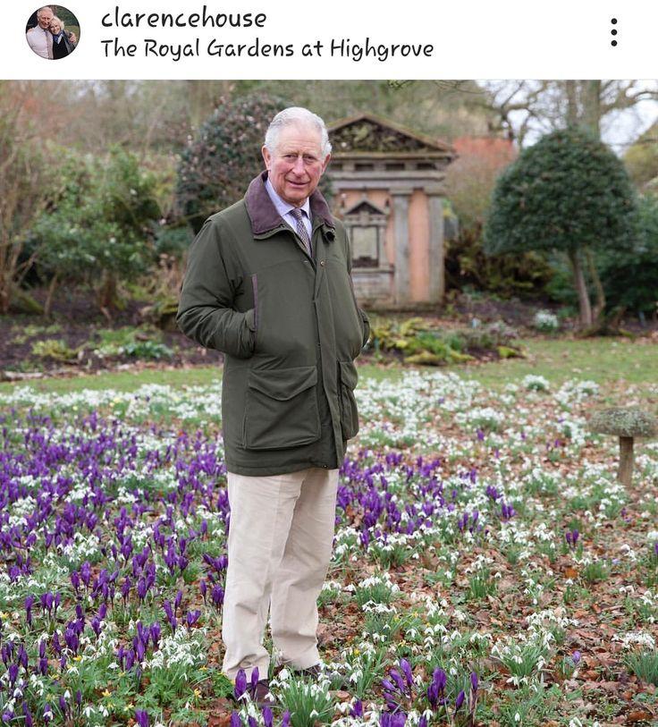 an older man standing in a field of purple and white flowers