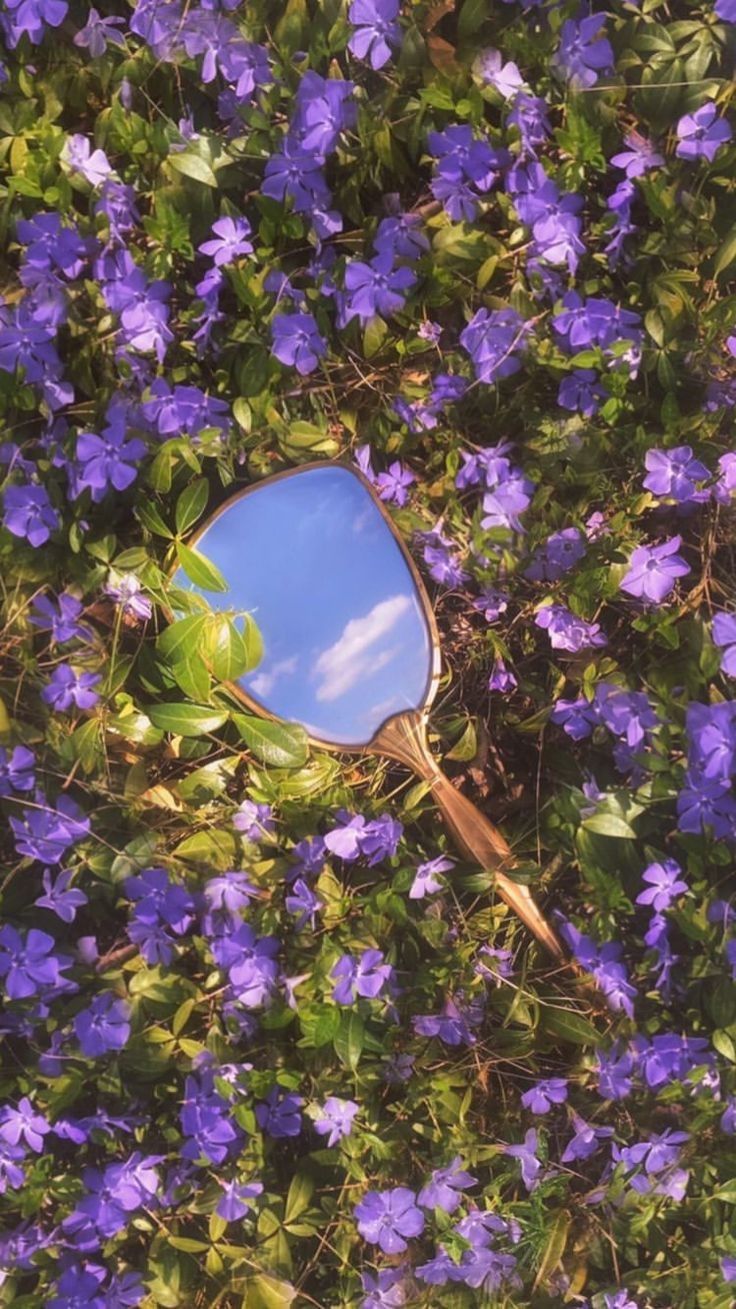 a mirror sitting in the middle of purple flowers with blue sky reflected in it's reflection