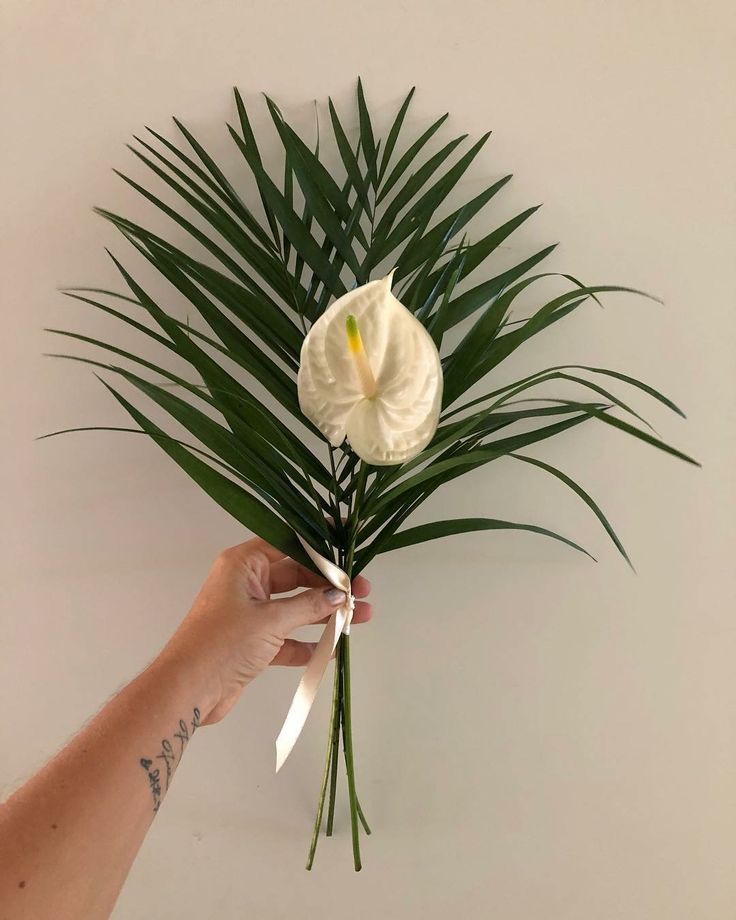 a hand holding a white flower with green leaves on the wall in front of it