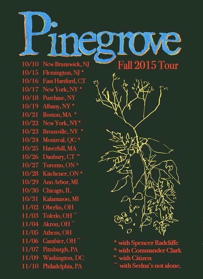 the poster for pine grove fall 2013 tour