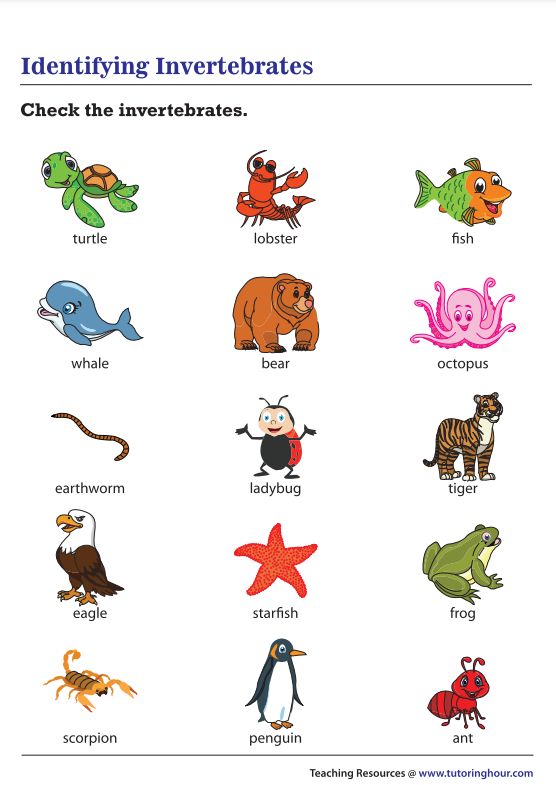 an image of different types of animals and their names in the form of words that describe them