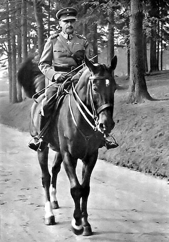 a man riding on the back of a brown horse down a road next to trees