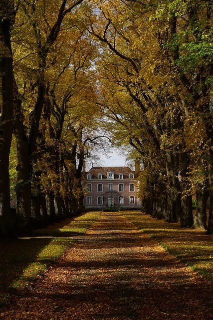 an old house is surrounded by trees with leaves on the ground and in the foreground