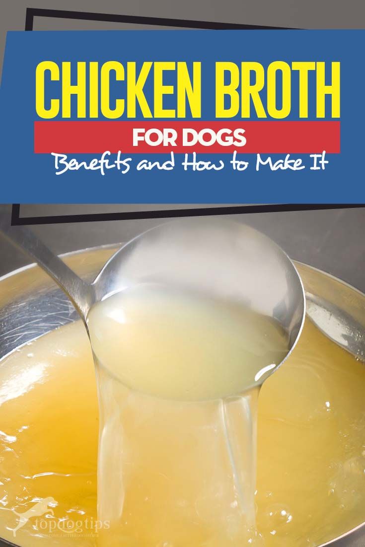 chicken broth for dogs benefits and how to make it