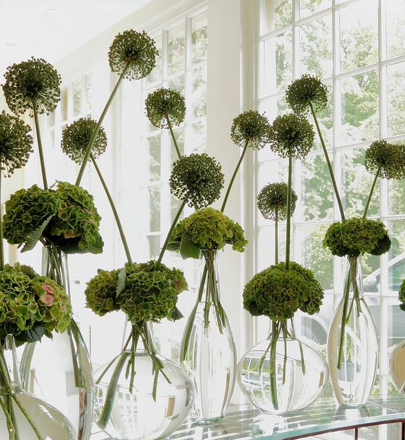 several vases filled with green flowers and greenery in front of a large window