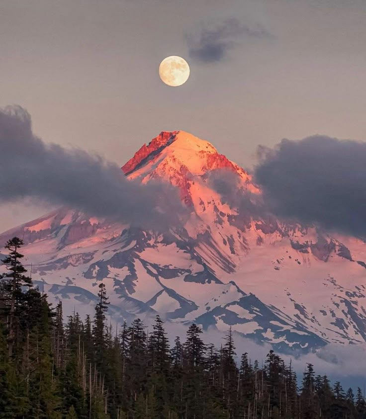 the moon is setting on top of a snow - capped mountain with pine trees in foreground