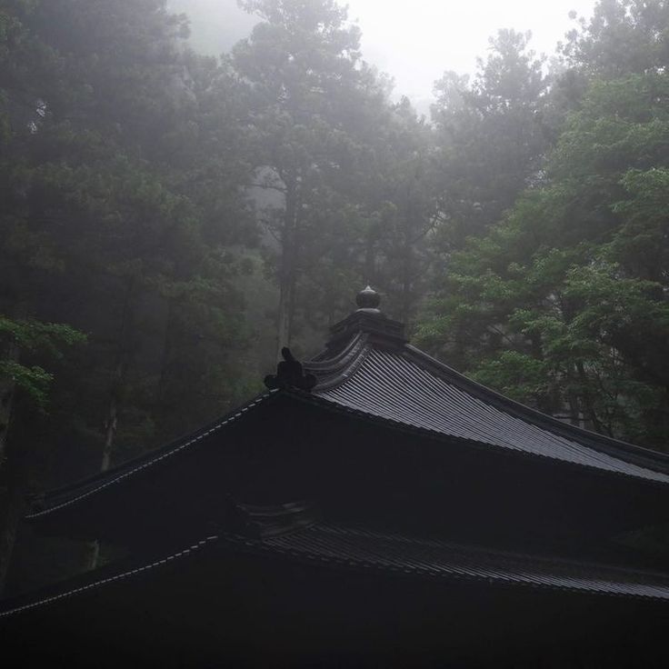 Dark Naturalism, Japanese Forest, Japanese Temple, Japan Aesthetic, Aesthetic Japan, Japanese Aesthetic, Night Aesthetic, Nature Aesthetic, Pretty Places