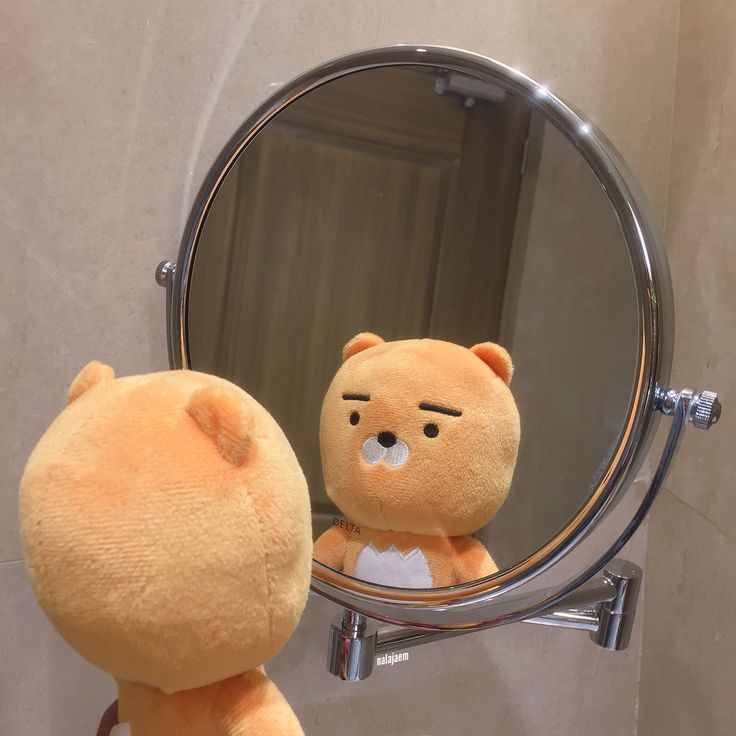 a brown teddy bear sitting in front of a mirror