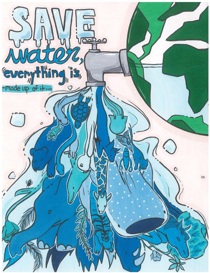 the poster for save water everything is