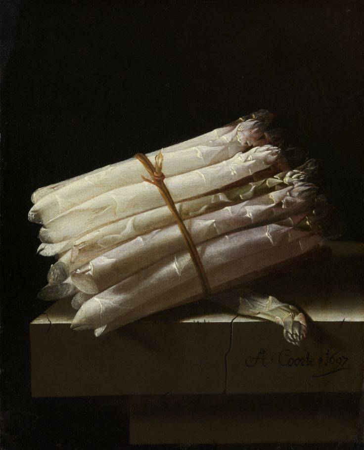 a painting of white flowers wrapped in burlock and tied with a brown ribbon